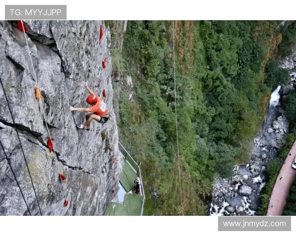 攀登人生的巅峰：杨娜与深度对话中的挑战与成长